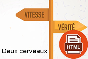 Deux cerveaux H Deux cerveaux H