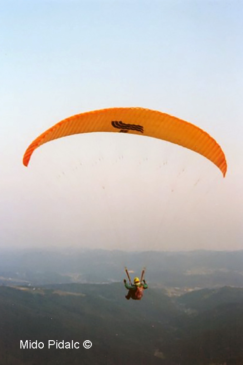 Parapente Firebird Navajo