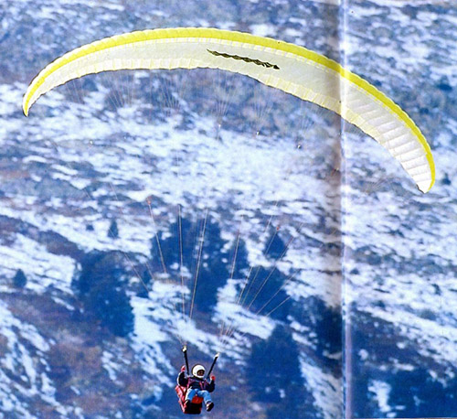 Parapente Firebird Navajo 1993