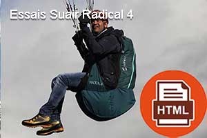 Article essais Radical 4