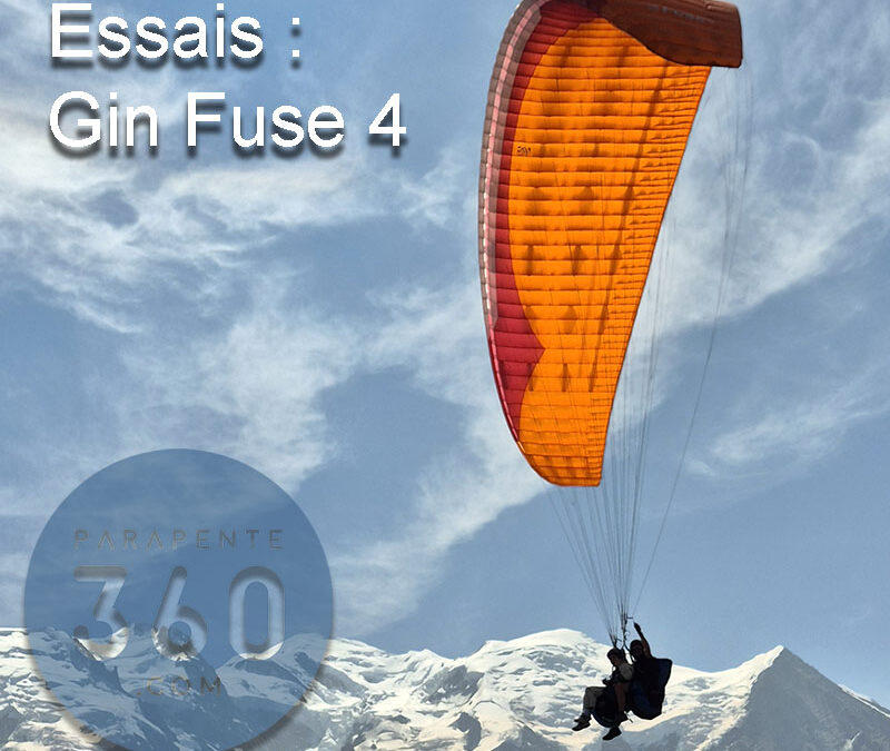 Gin Fuse 4 accueil